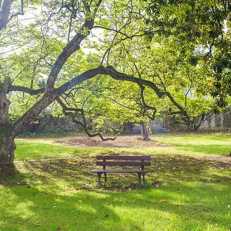 Bonvouloir * 바네르드비고르