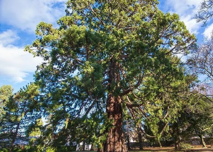 Bonvouloir מלון דירות *